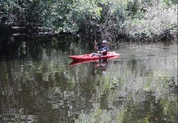 Hillsborough River Kayaking Things to Do